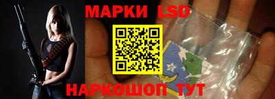индика Железногорск