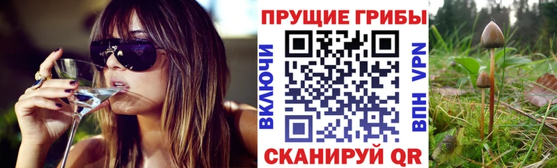 Псилоцибиновые грибы ЛСД  darknet клад  Апшеронск 