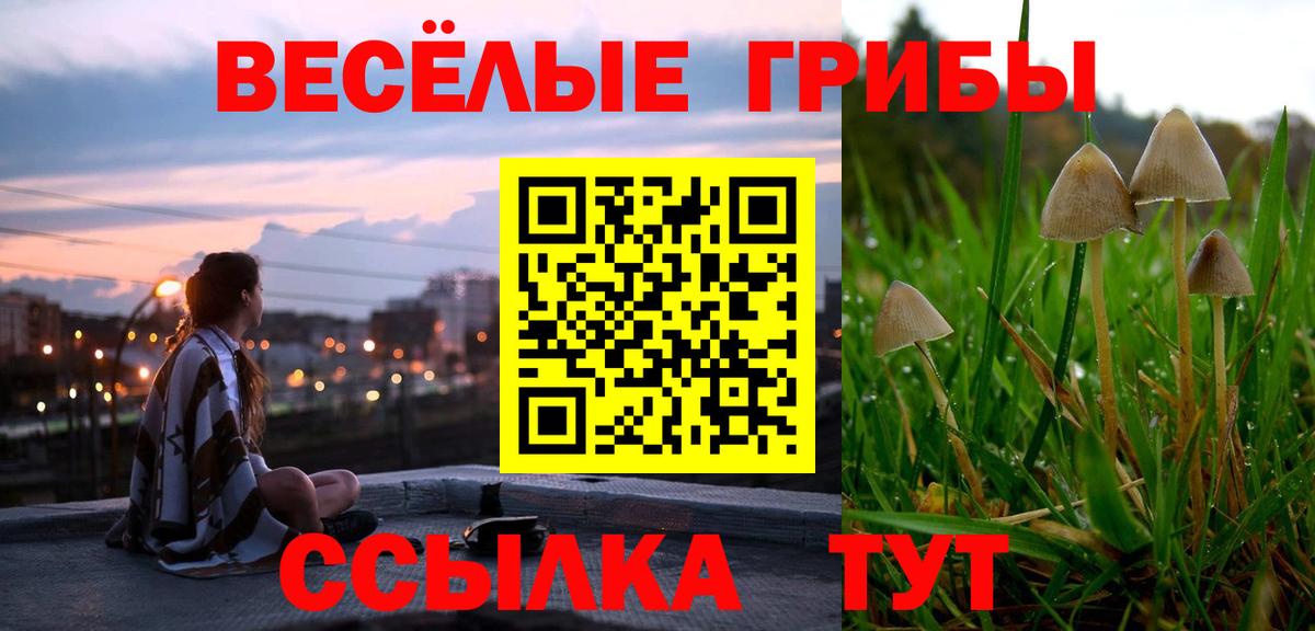 Псилоцибиновые грибы GOLDEN TEACHER Апшеронск